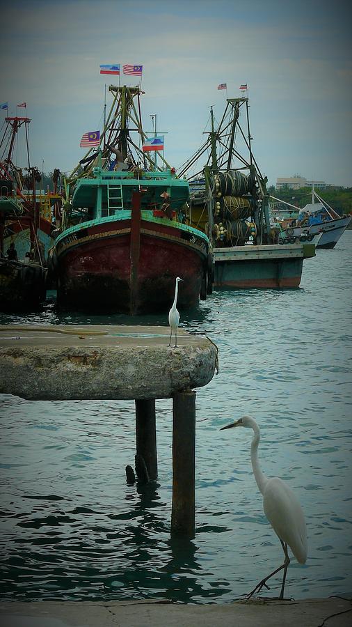 Egret and boats Photograph by Robert Bociaga