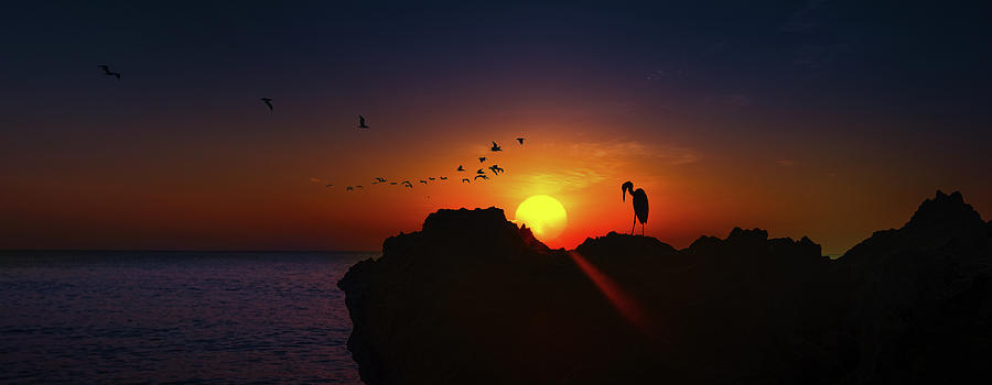 Egret at Sunrise Panorama Photograph by Mark Andrew Thomas