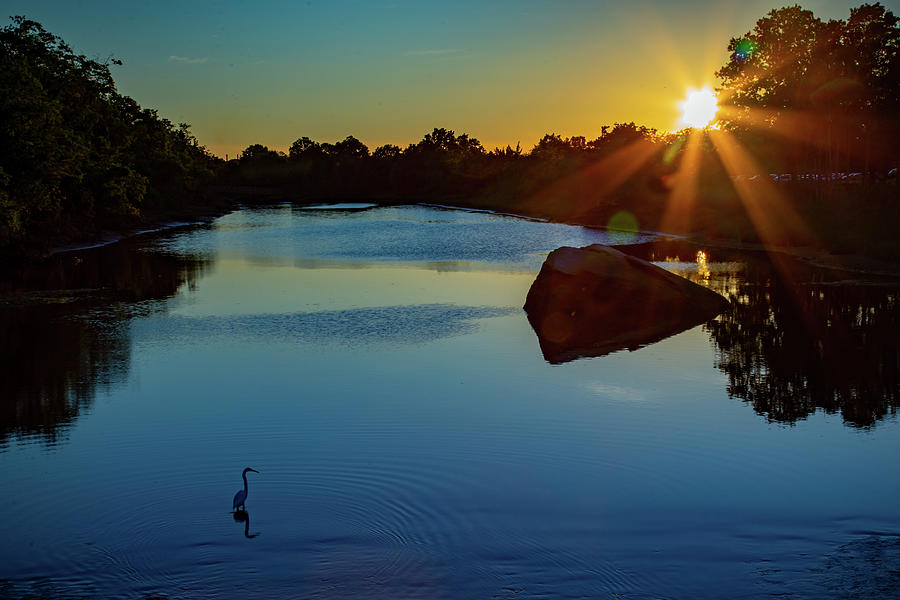 Egret At Sunset Photograph By Erin Okeefe Fine Art America 1923