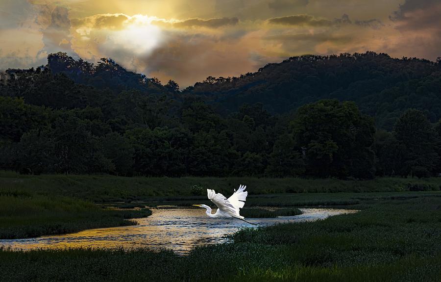 Egret at Sunset Photograph by Theresa D Williams