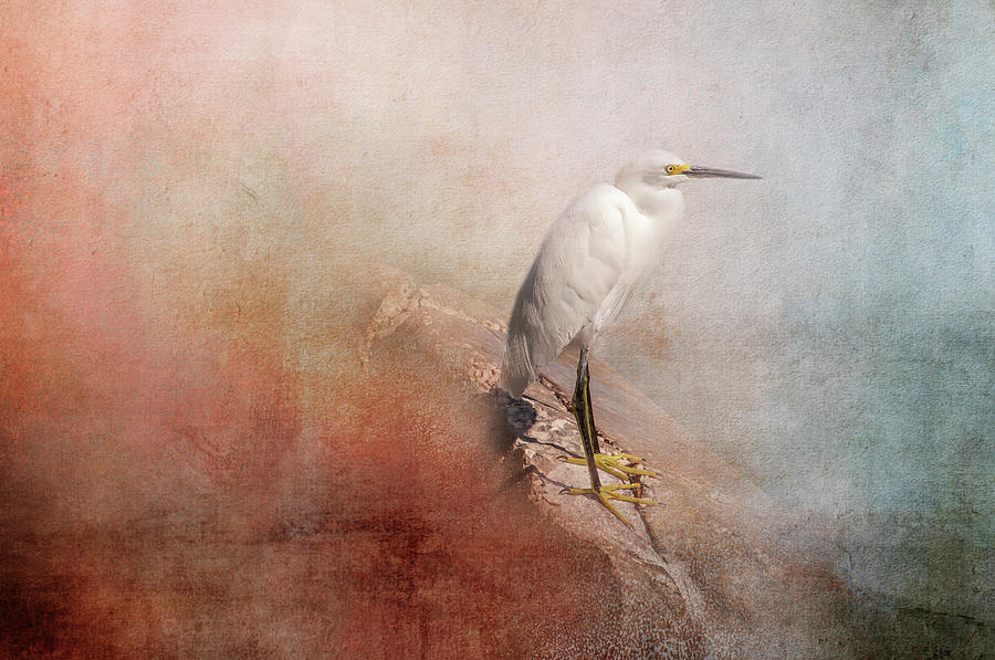 Egret at the Edge Digital Art by Terry Davis
