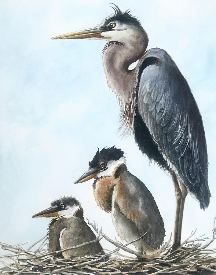 Egret Family Painting by Linda Apple