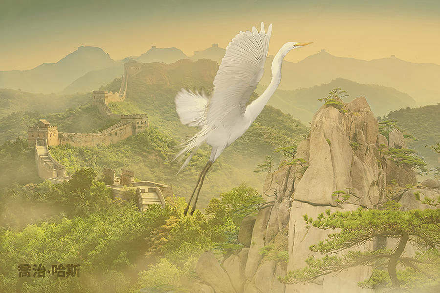 Egret Flying over Great Wall Digital Art by George Harth