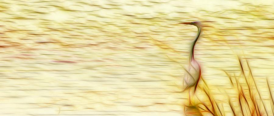 Egret in the Grass Digital Art by Brad Barton