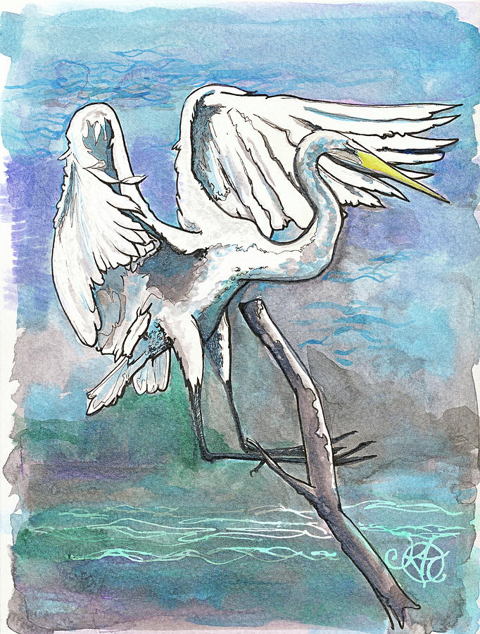 Egret ink drawing Drawing by Katherine Nutt