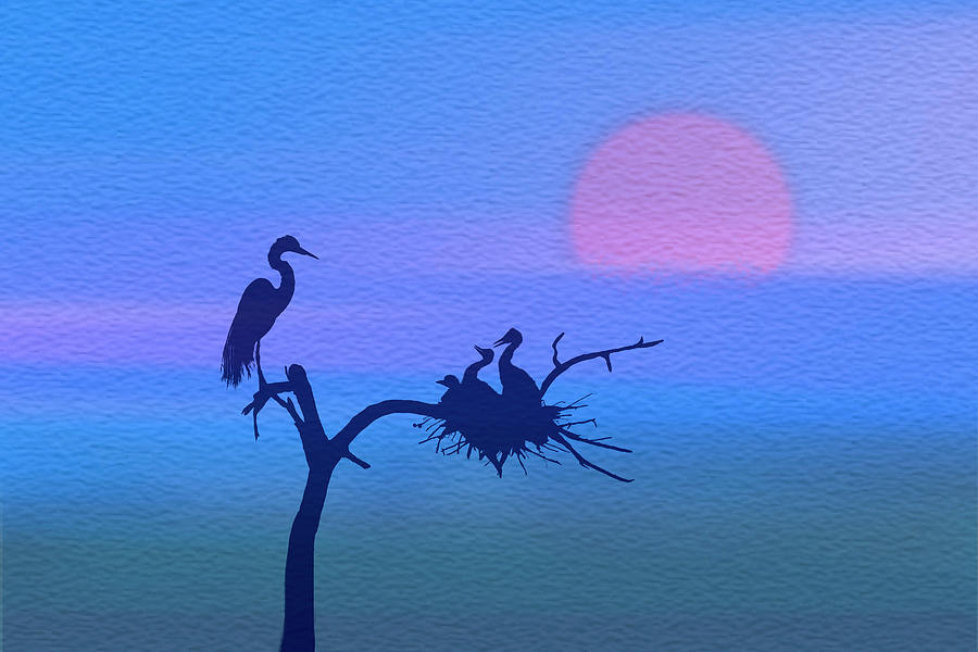 Egret Nesting Silhouette Digital Art by Patti Deters
