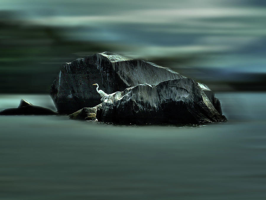 Egret Rock Photograph by Wayne King