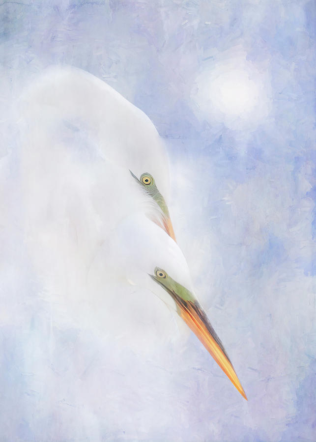 Egret Snuggle Mixed Media by Patti Deters