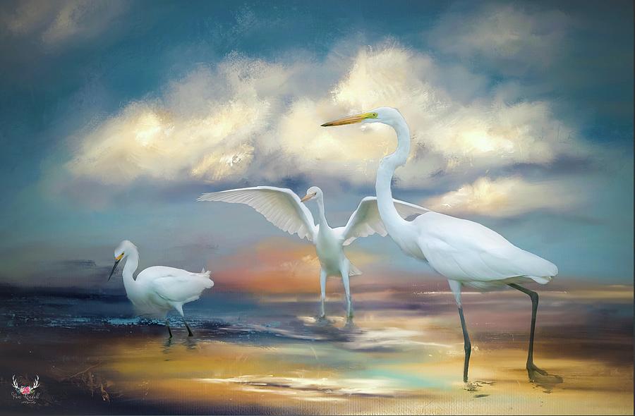 Egret Trio Photograph by Pam Rendall