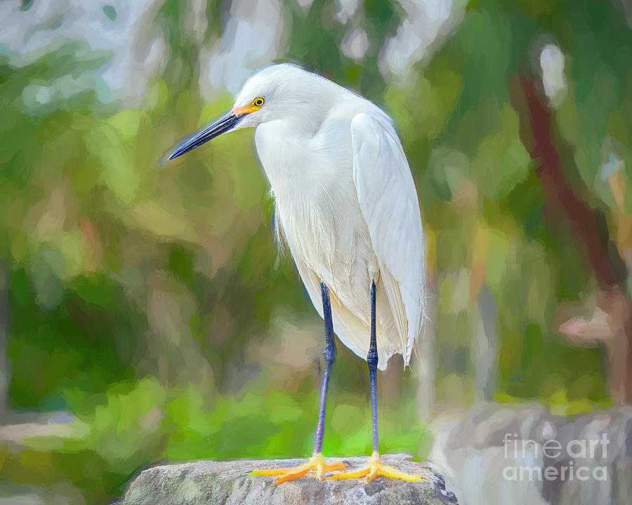 Egret Under the Palms Edition 2 Painting by Judy Kay