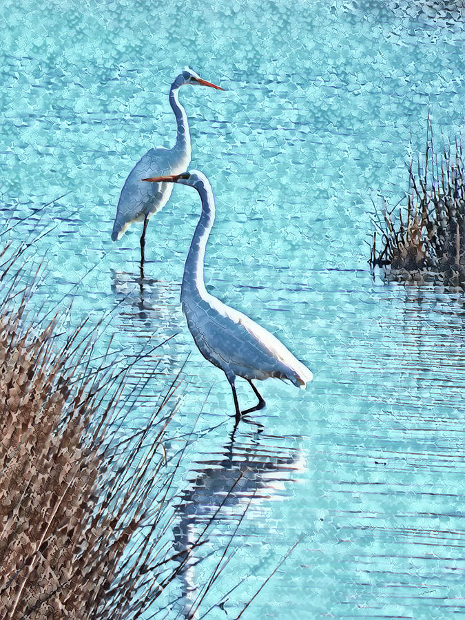 Egrets - A Pretty Pair In A Pretty Place Photograph