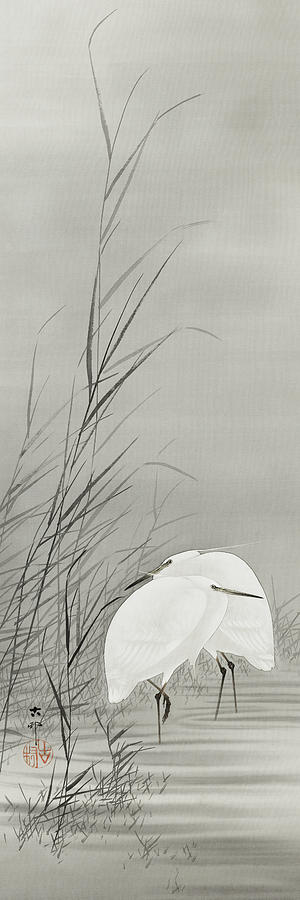 Ohara Koson Painting - Egrets in a swamp by Ohara Koson