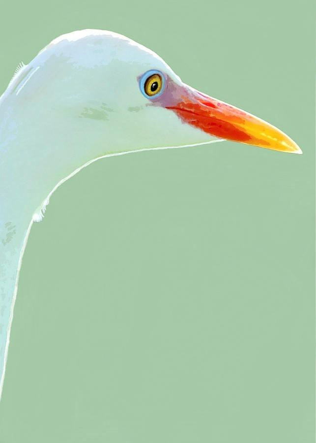 Egrets, Ive had a Few Painting by Judy Cuddehe
