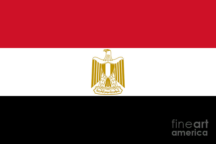 Egypt Flag Photograph