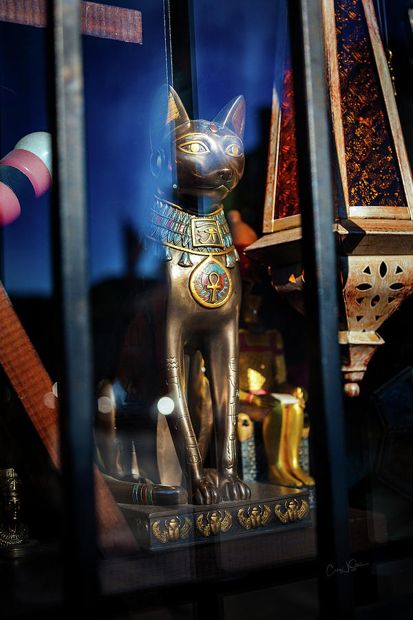 Egyptian Cat Photograph by Craig J Satterlee