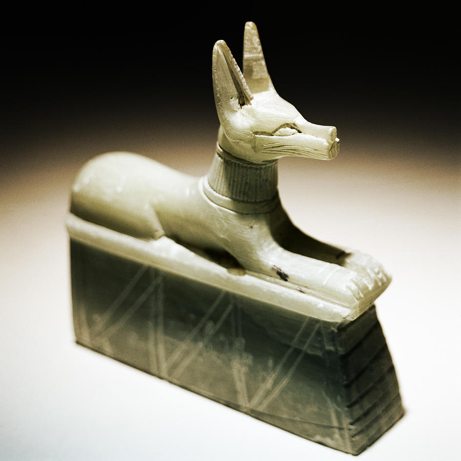 Egyptian Dog Carving Photograph by Spike Mafford
