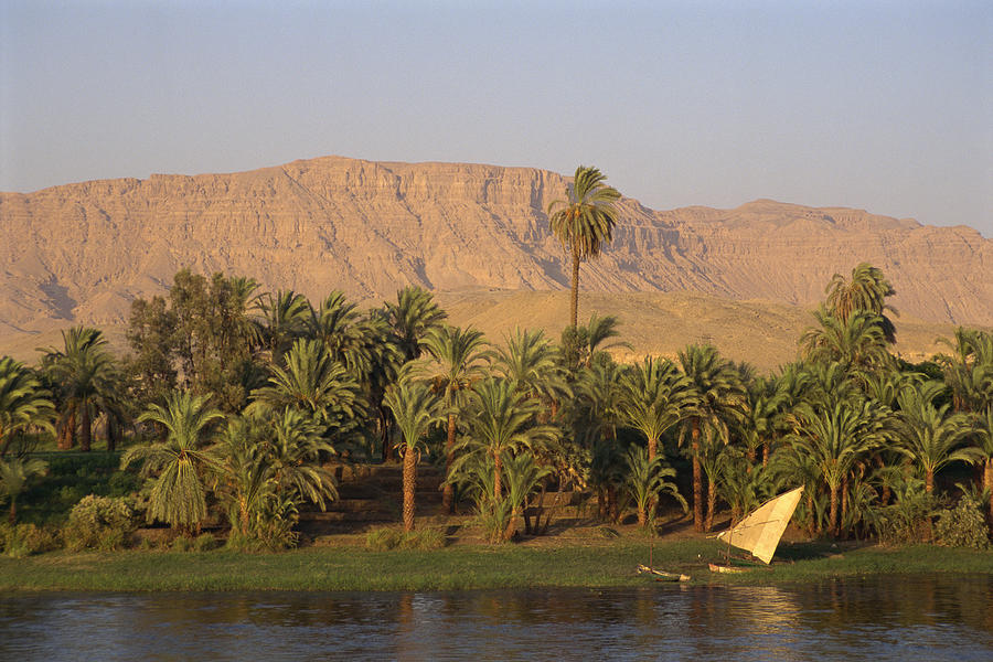 Egyptian landscape Photograph by Comstock Images