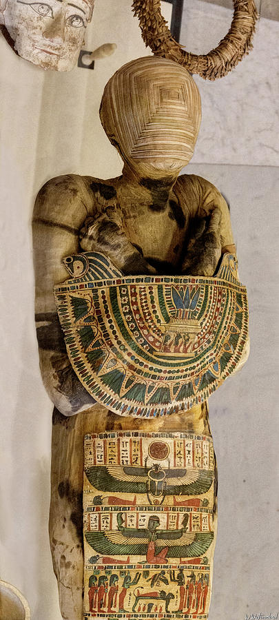 Egyptian Mummy Louvre 02 Photograph by Weston Westmoreland