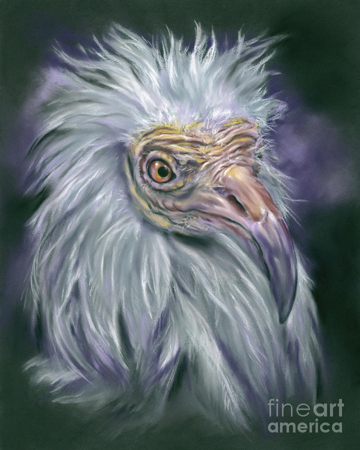 Egyptian Vulture White Bird of Prey Painting by MM Anderson