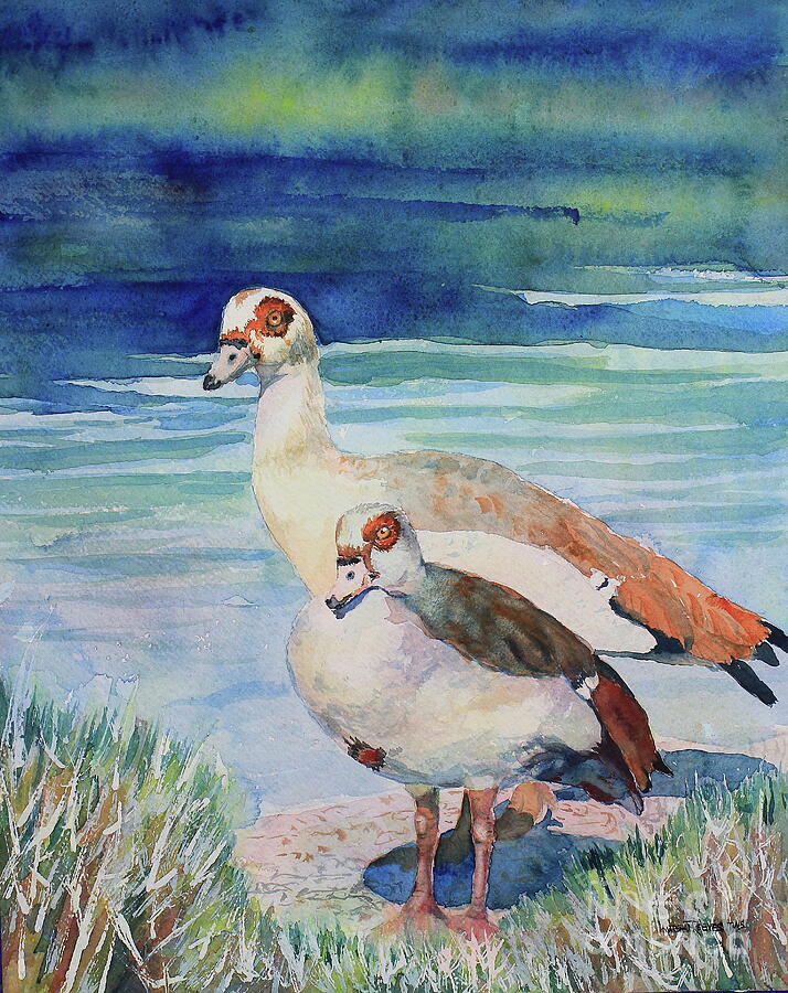 Geese Painting - Egyptians by Marsha Reeves