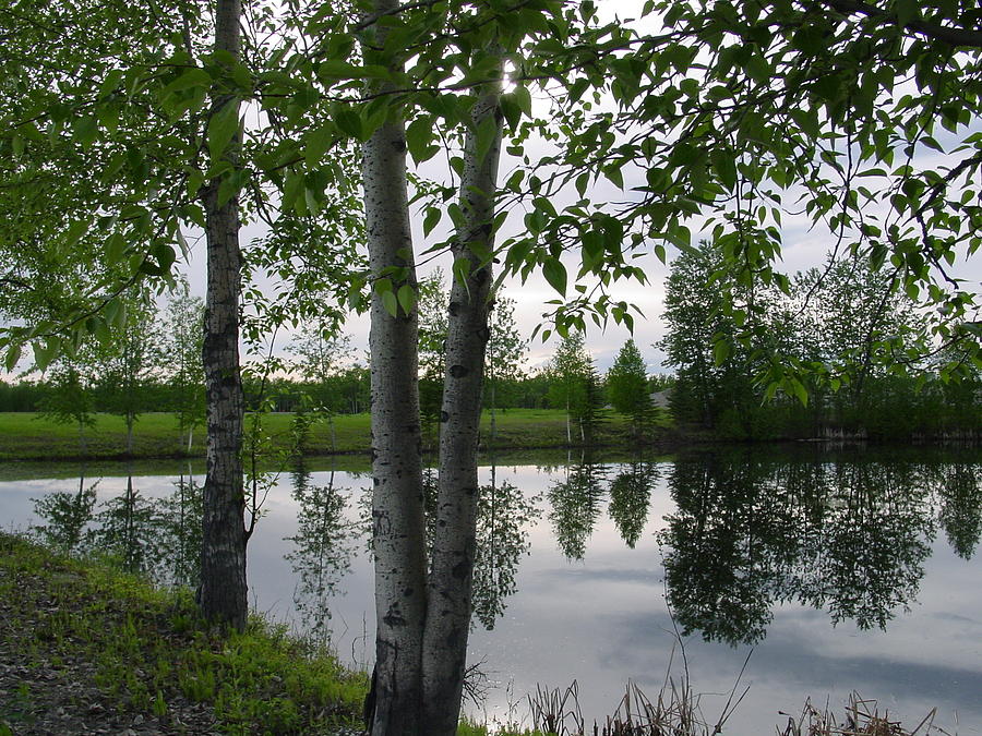 Eielson Lake Reflections Photograph