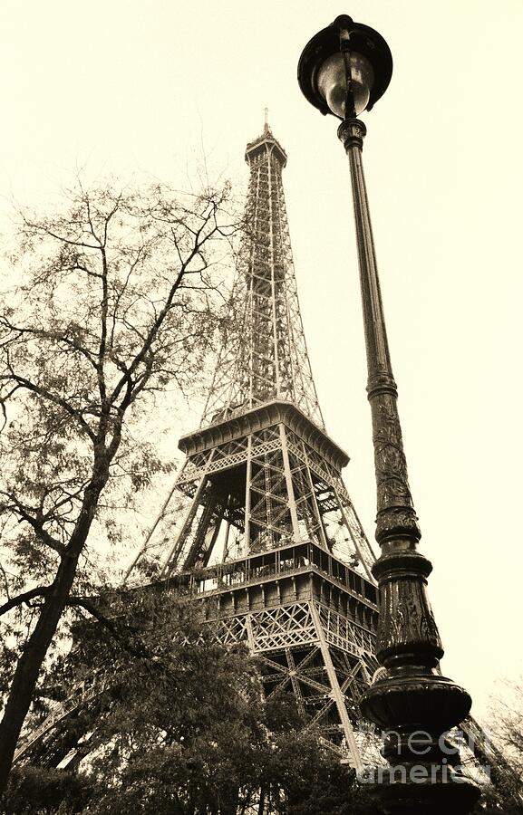 Eiffel Etude Photograph