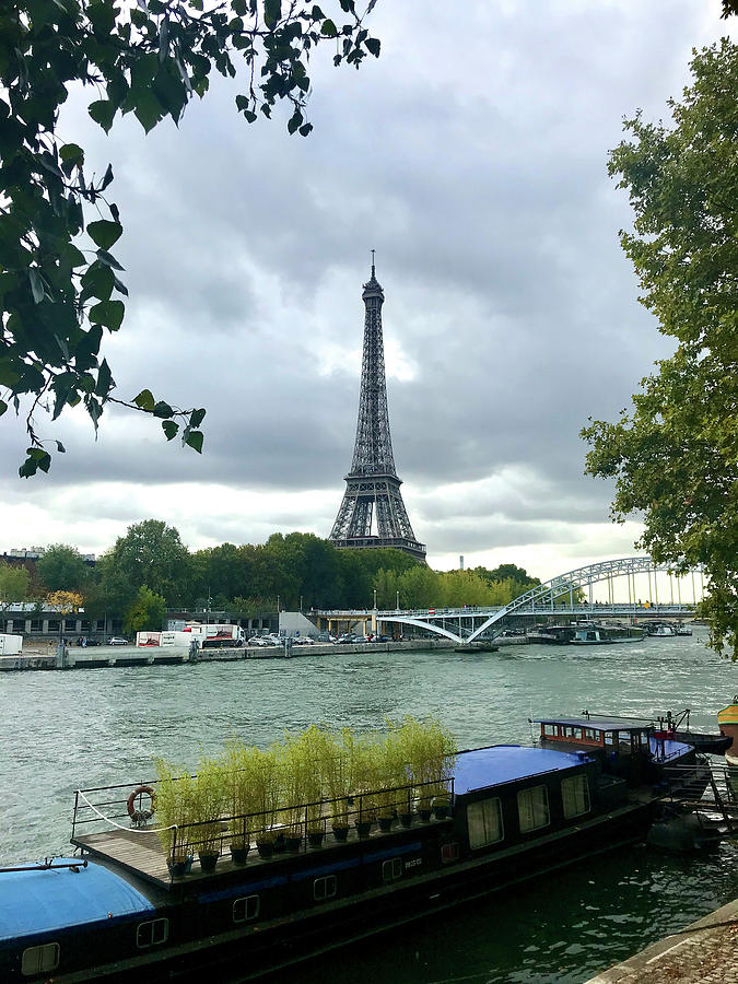 Eiffel Framed Photograph by Lorraine Devon Wilke