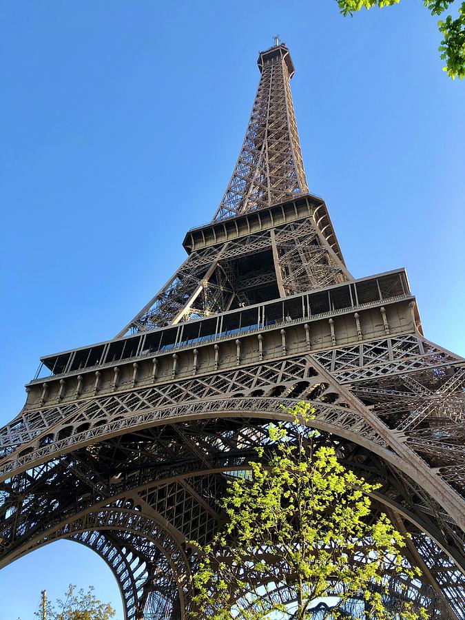 Eiffel Photograph by Liz Costa