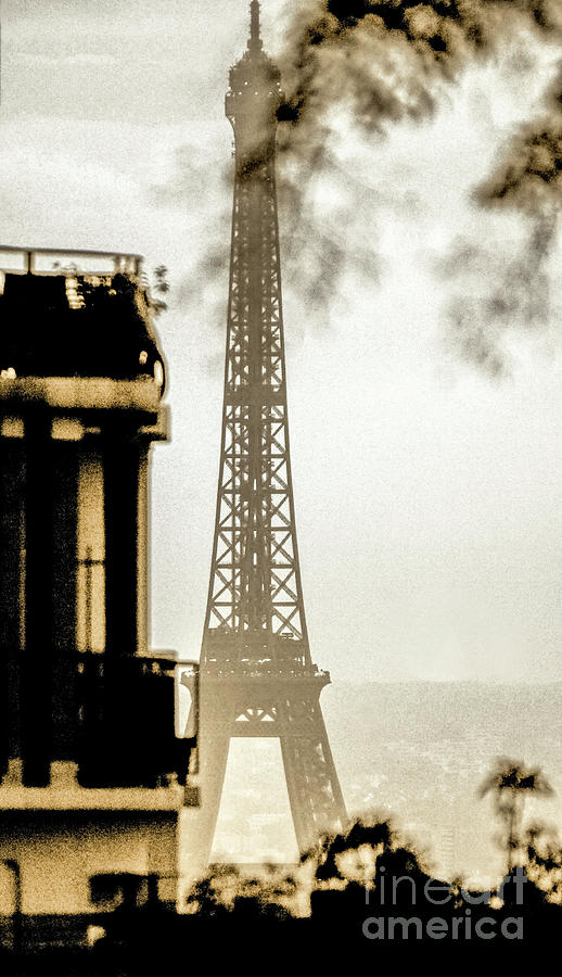 Eiffel Tower 40 Photograph