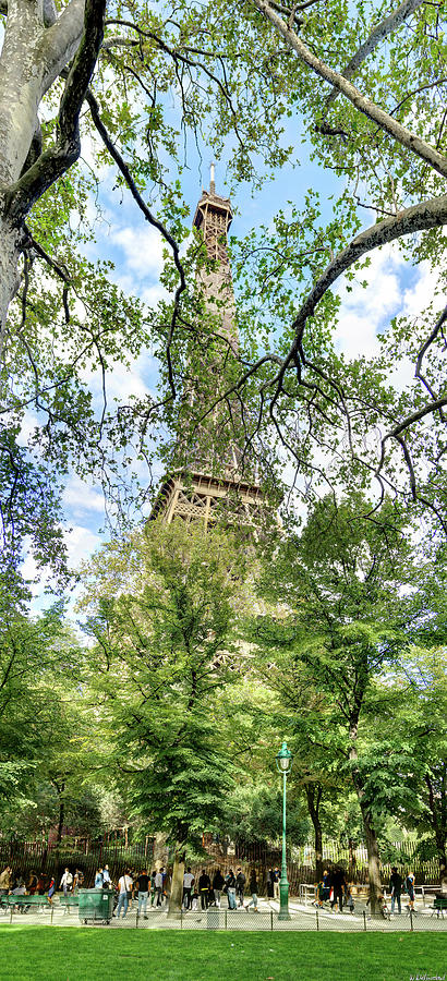 Eiffel Tower above the Trees Photograph by Weston Westmoreland