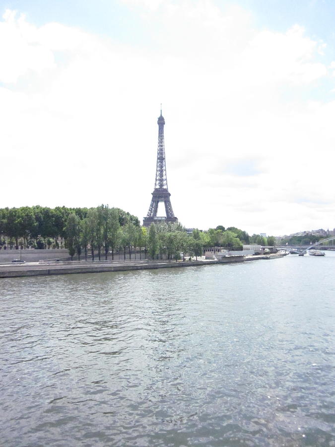 Eiffel tower and Seine Photograph by Lisa Mutch