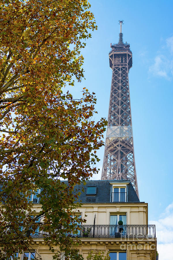Eiffel tower, buildings and trees Photograph by Vicente Sargues