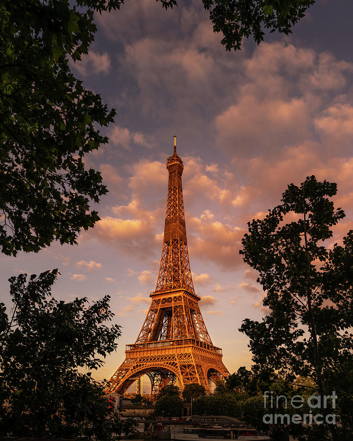 Paris Photograph - Eiffel Tower Frame Tree Sunset by Thomas Speck Paris Photograph - Eiffel Tower Frame Tree Sunset by Thomas Speck
