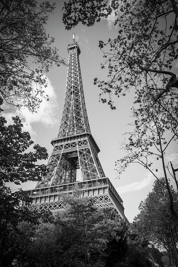 Eiffel Tower Photograph - Eiffel Tower Framed by Trees BW by John Twynam