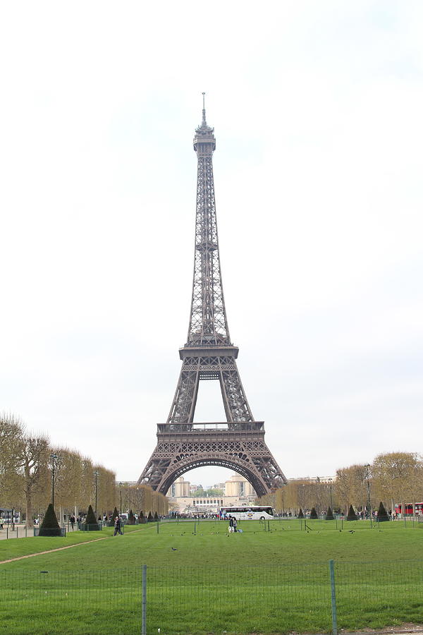 Eiffel Tower in spring Photograph by G. Merrill