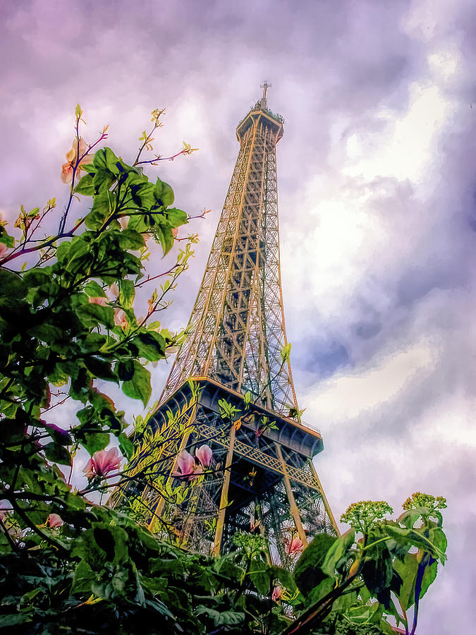 Eiffel Tower in Spring Photograph by Norma Brandsberg