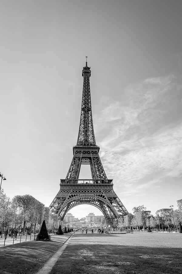 Eiffel Tower Photograph - Eiffel Tower by Jaminet Rivera