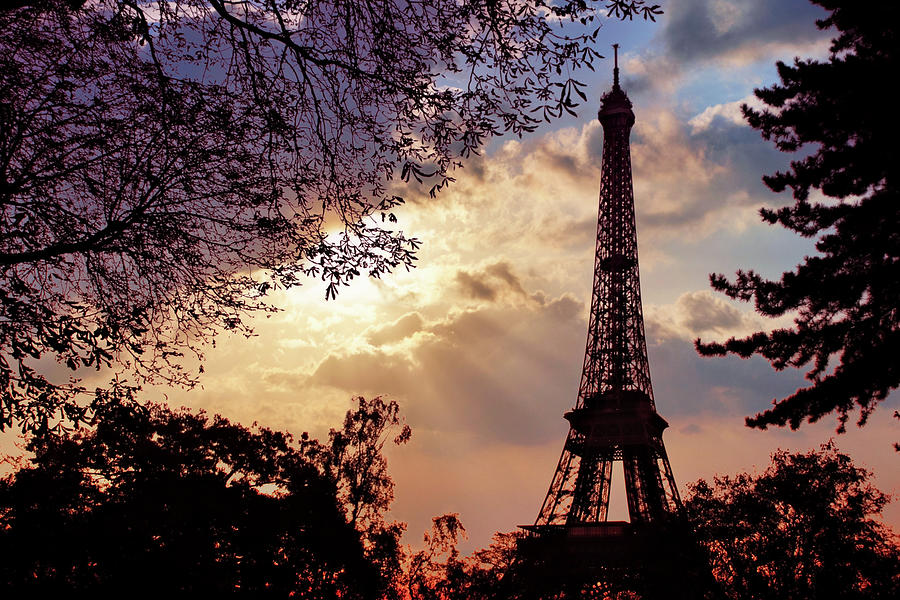 Paris Photograph - Eiffel Tower Silhouette Morning - Paris by Barry O Carroll