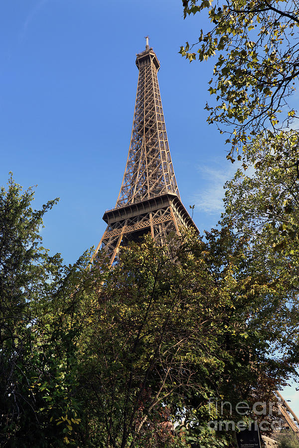Eiffel Tower Photograph by Steven Spak