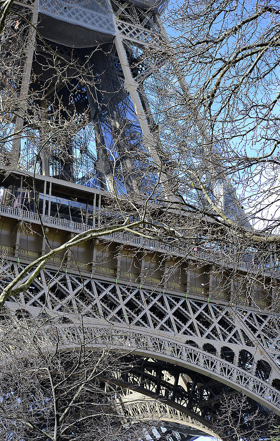 Eiffel Tower through the Trees 2 Photograph by Nadalyn Larsen