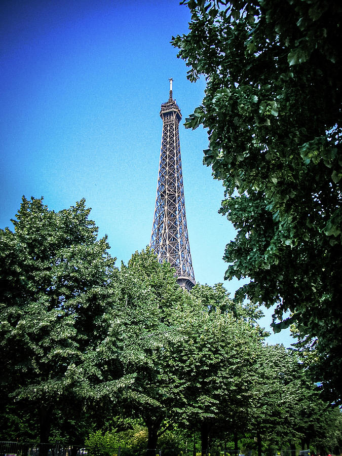 Eiffel Tower through Trees Photograph by Jim Feldman