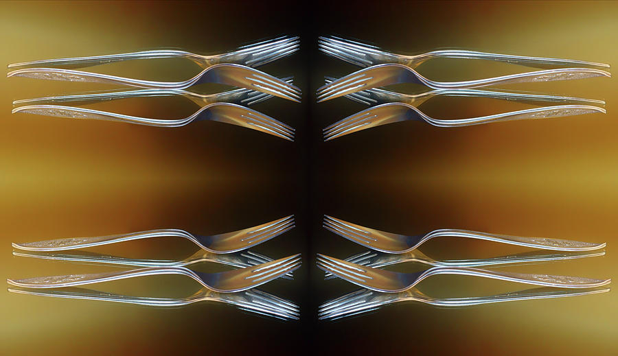 Eight Forks Photograph by Nikolyn McDonald