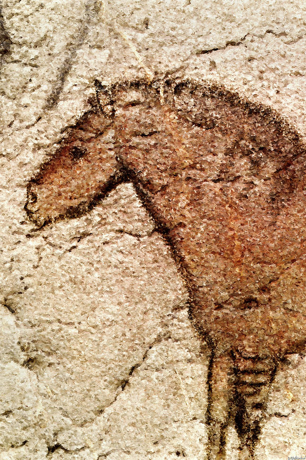Ekain Cave Horse Detail Digital Art by Weston Westmoreland