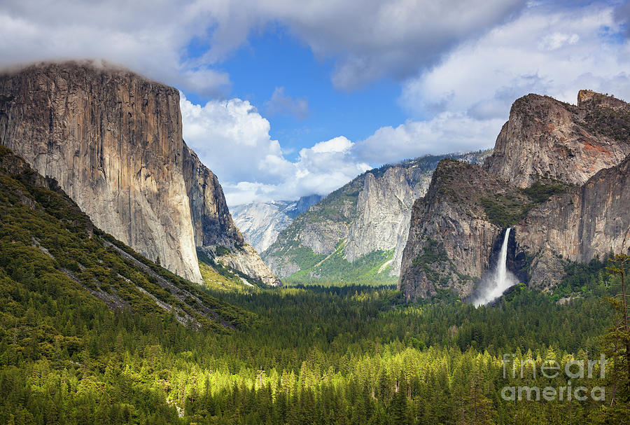 El capitan and Bridal veil falls, Yosemite National Park, California, USA Photograph by Neale And Judith Clark