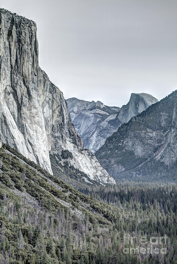 El Capitan And Half Dome Yosemite National Park Photograph