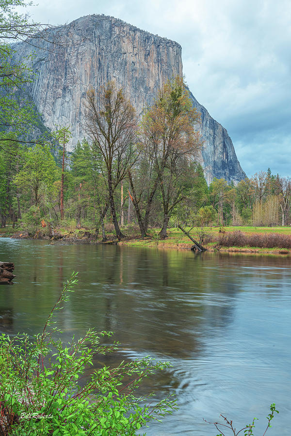El Capitan and the Merced Photograph by Bill Roberts