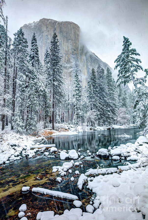 El Capitan and The Merced River in Yosemite National Park Photograph by Dustin K Ryan