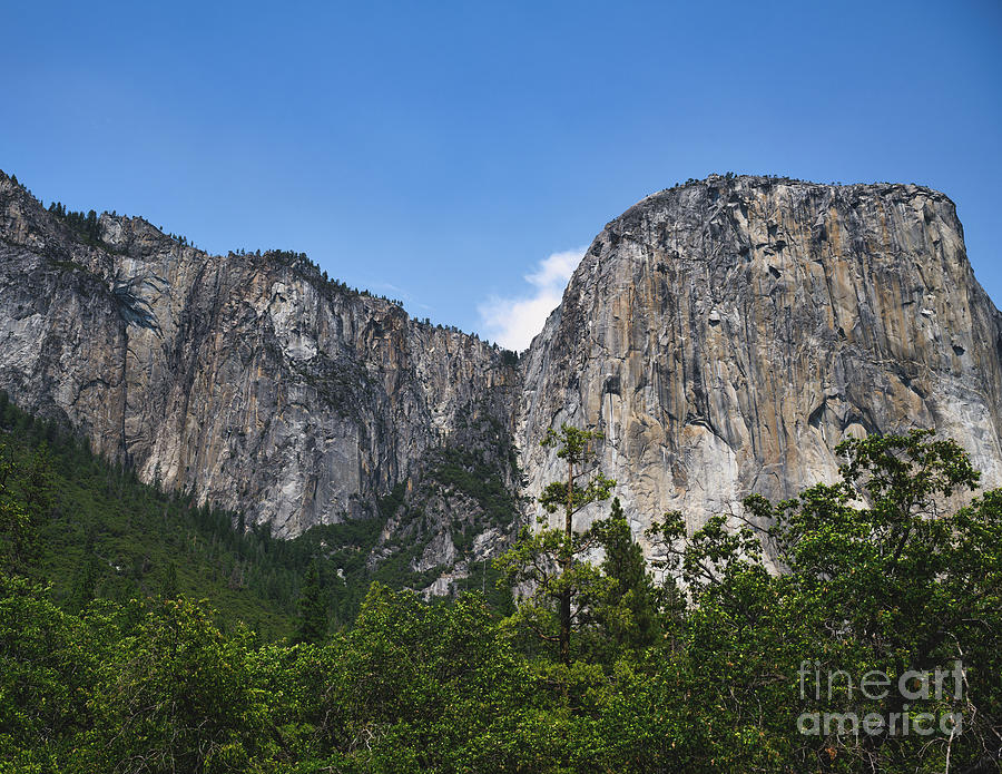El Capitan at Yosemite National Park Photograph by Abigail Diane Photography