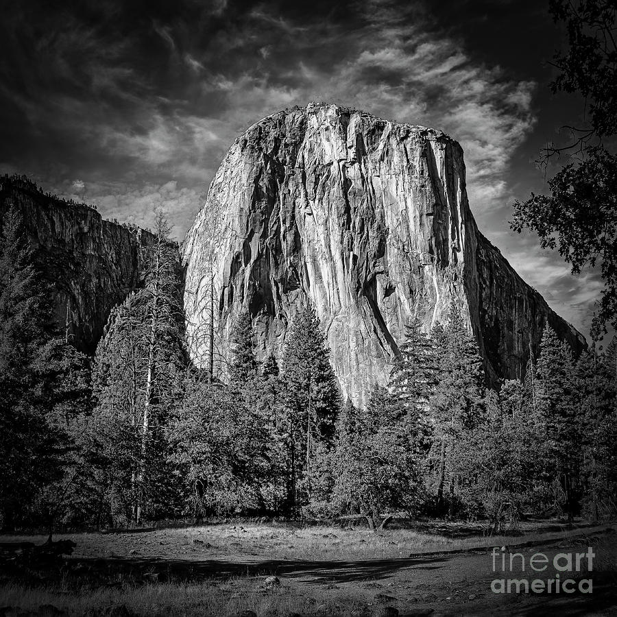 El Capitan at Yosemite  Photograph by Nick Zelinsky Jr
