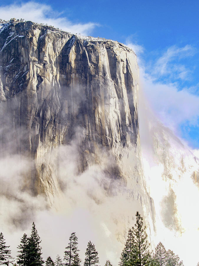 Yosemite National Park Photograph - El Capitan by Bill Gallagher